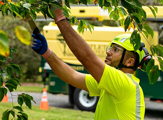 Bartlett Tree Experts - Savannah, GA - Savannah, GA