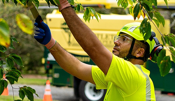 Bartlett Tree Experts - Charlottesville, VA