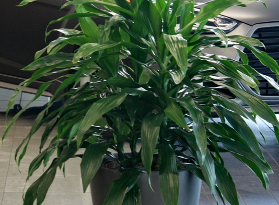 Tropical Gardens Interiorscaping, Plant Rental and Maintenance