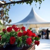 Jackson Tent Rentals gallery