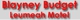 Blayney Budget Leumeah Motel - Motels
