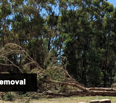 Gravity Tree Worx - Nerrina, VIC. Tree Removal