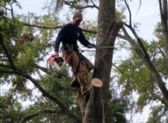 Trenton Tree Service - Bell, FL