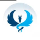 Pegasus Emergency Group