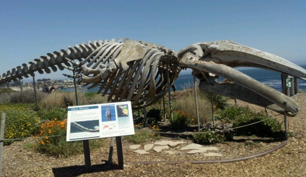 Seymour Marine Discovery Center