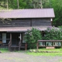 Tall Pine Cabin