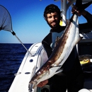 Offshore Naples Fish and Dive - Tourist Information & Attractions