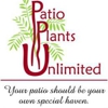 Patio Plants Unlimited gallery