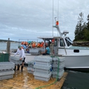 Greenhead Lobster - Fish & Seafood Markets