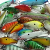 Bodacious Bass Baits gallery