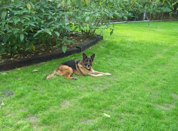 ICNDF Dog Training Center - Saint Augustine, FL