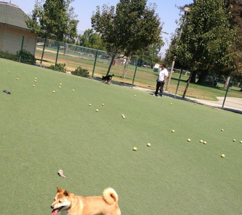 Roy M Butcher Dog Park - San Jose, CA