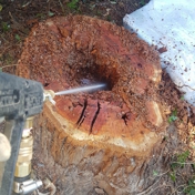 Gallery Image Number 8