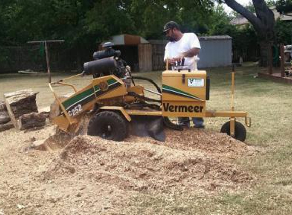 Forest Tree Service - Warr Acres, OK