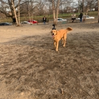 Fort Barnard Dog Park