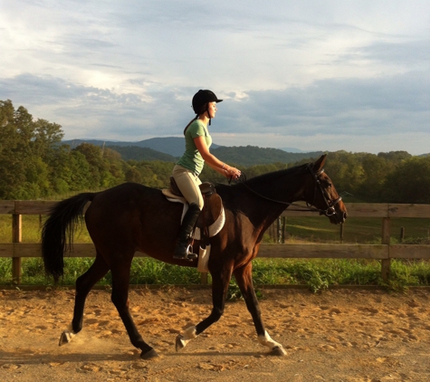 Mountain Meadow Equestrian Center - Maryville, TN