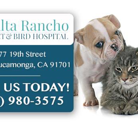 Alta Rancho Pet & Bird Hospital - Rancho Cucamonga, CA