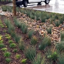 Aqualis - Landscape Designers & Consultants