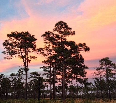 Faver Dykes State Park - Saint Augustine, FL