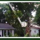 Callender Tree Service LLC