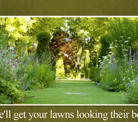 Amazing Grass Lawn Mowing