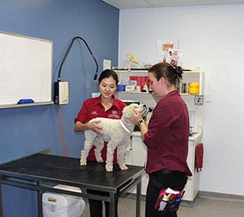 East Bundaberg Veterinary Hospital - Bundaberg East, QLD