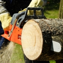 Near Tree Service - Tree Service