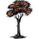 Tree Experts - Tree Service