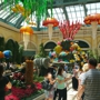 Bellagio Hotel & Casino