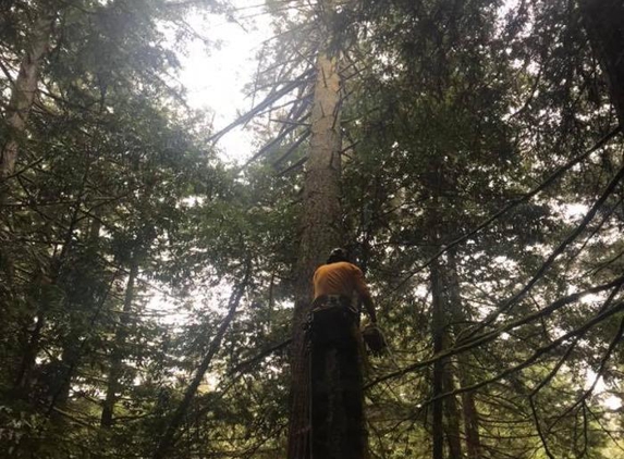 Coastal Tree Service - Mckinleyville, CA