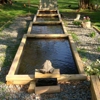 Mountain Top Koi Farm gallery