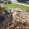 Edwards stump Removal gallery