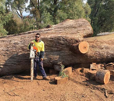 Curtis Tree Lopping Specialists - Wodonga, VIC