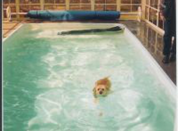 Berrima Boarding Kennels & Cattery - Berrima, NSW
