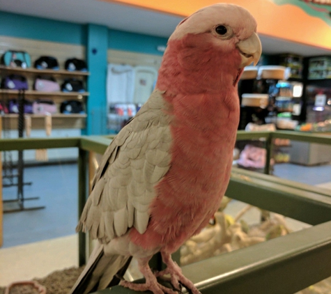 Petland Overland Park - Overland Park, KS