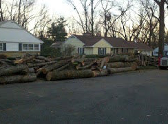 Arrow Tree Service - Springfield, MA