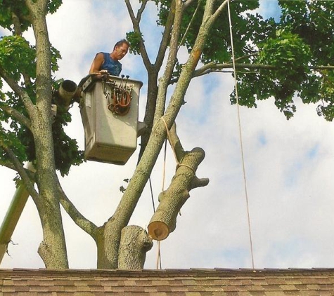 John Allor's Tree Service - White Lake, MI