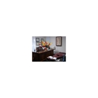 Ellis Chiropractic Center