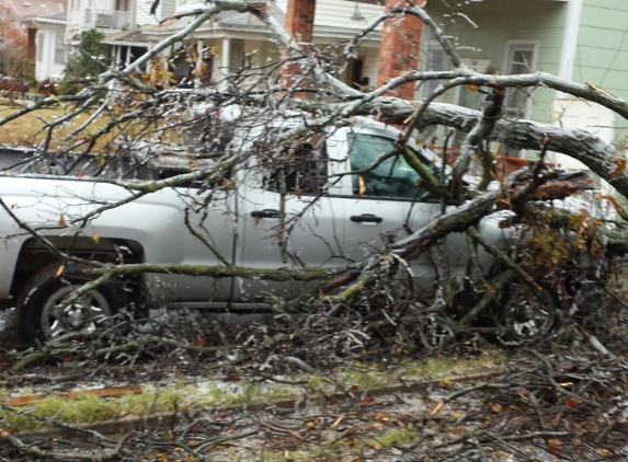 Forest Tree Service - Guthrie, OK