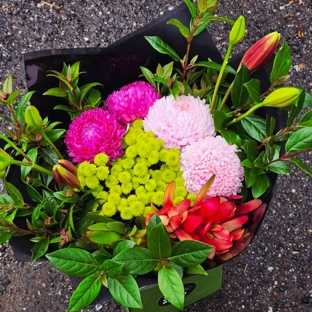 The Wild Bunch Florist & Living Gifts - Karnup, WA