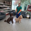 Summit Dog and Cat Hospital gallery