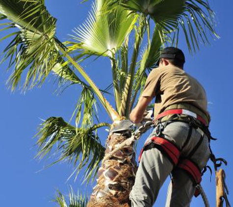 Rise & Shine Landscaping - Naples, FL