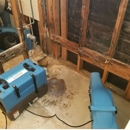 Restoration 1 of Central Houston - Water Damage Restoration