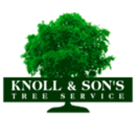 Knoll & Son's Tree Service - Michigan City, IN