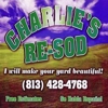 Charlie's Resod gallery