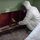 Mold Across America - Mold Remediation