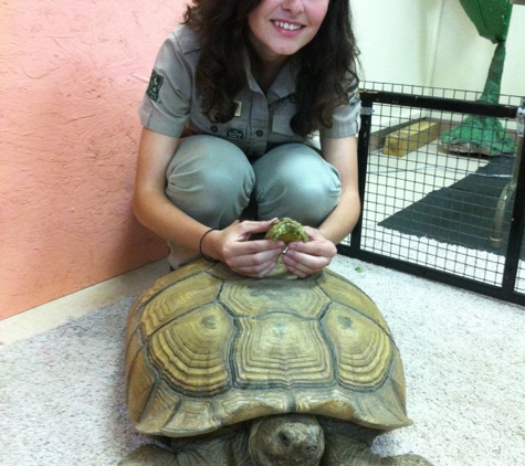 Petland Pensacola - Pensacola, FL