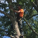 JWoods Tree Service - Tree Service