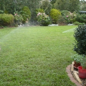 Gallery Image Number 7
