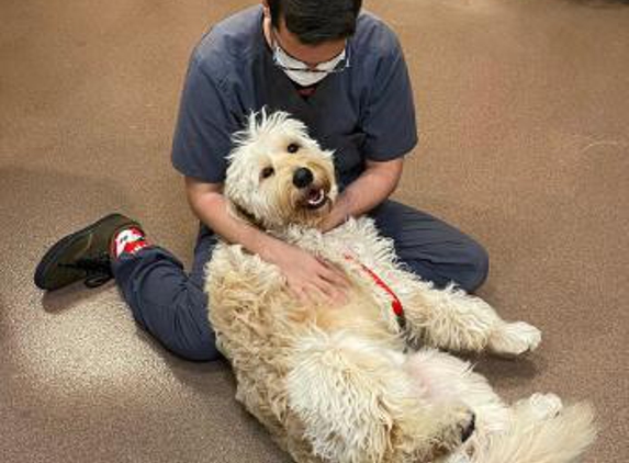 Alicia Pacific Veterinary Center - Laguna Niguel, CA